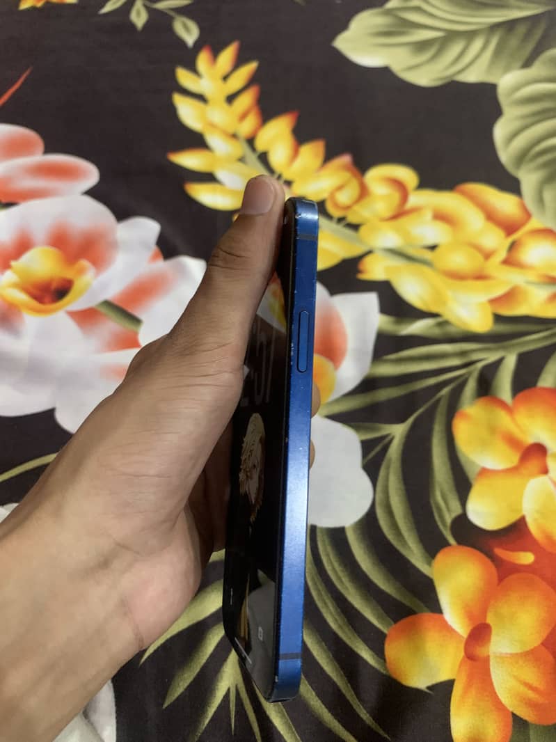 Apple iPhone 12 0