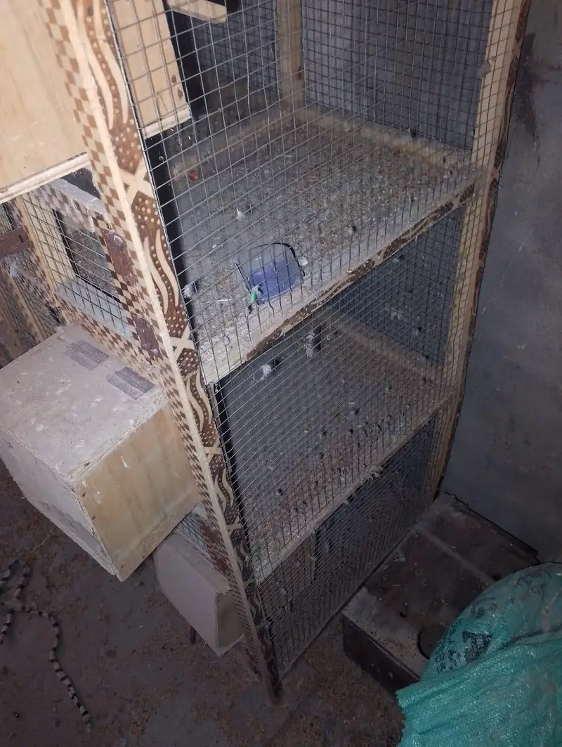 premium birds cage - clean, strong & Affordable — photo 3