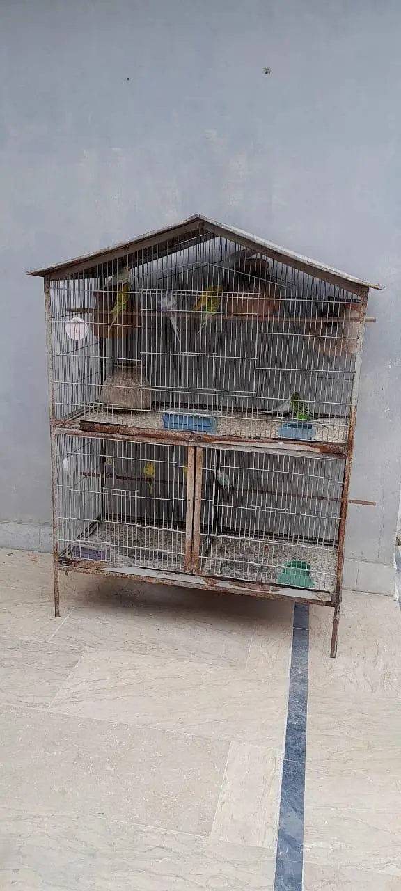 3 portion angle cage — photo 2