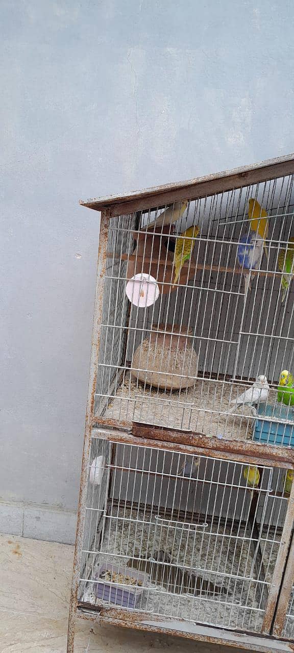 3 portion angle cage 2