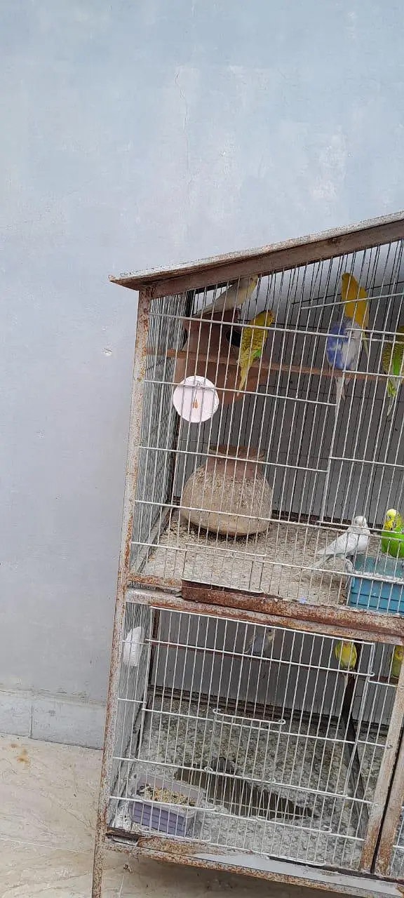 3 portion angle cage — photo 3