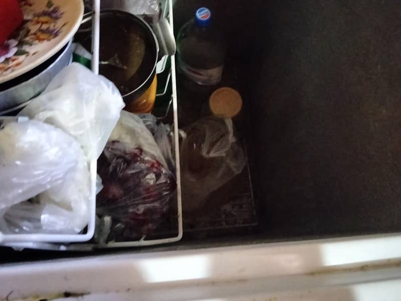 waves Deepfreezer 4