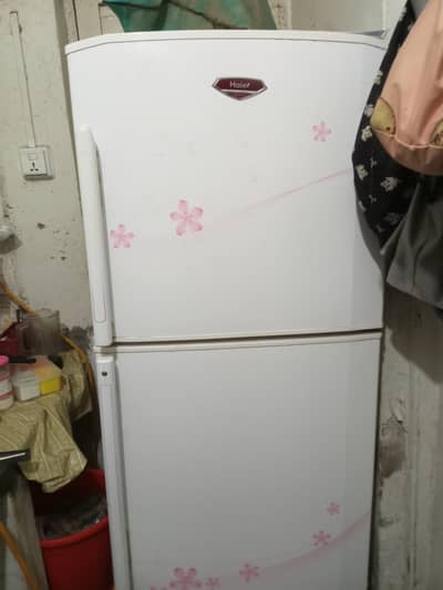 Used fridgeh  20-8
