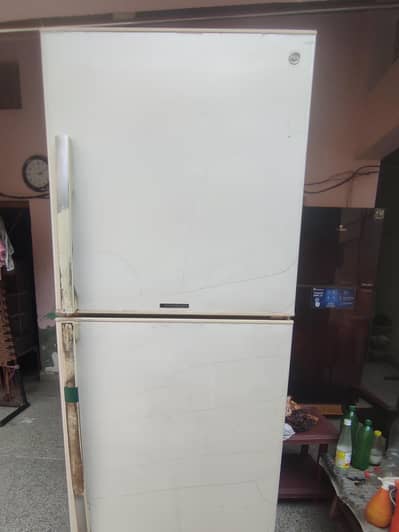 pel large size fridge