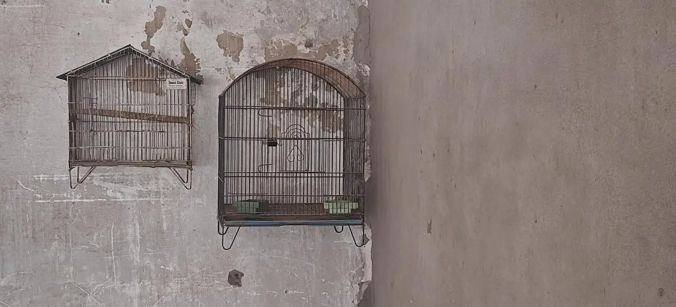 3 Cages for Sale full ok no any samagh no rust perfect condition — photo 2