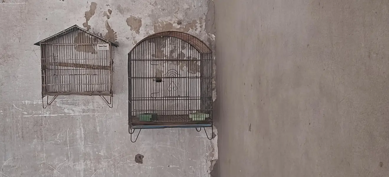3 Cages for Sale full ok no any samagh no rust perfect condition — photo 3