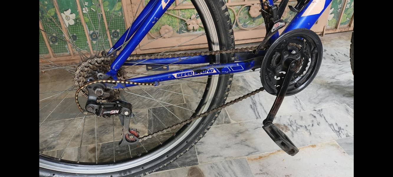 cycle imported frame 1