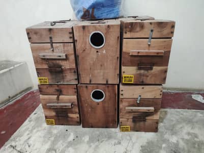 Lovebirds Breeding Boxes