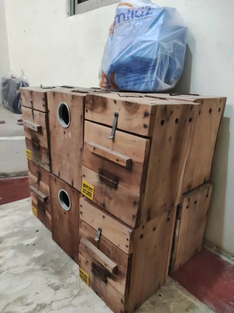 Lovebirds Breeding Boxes — photo 2