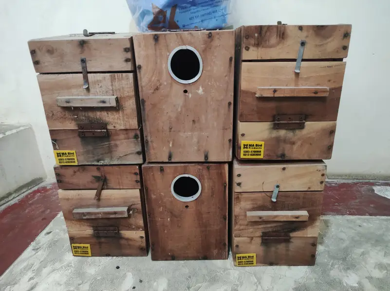 Lovebirds Breeding Boxes — photo 3