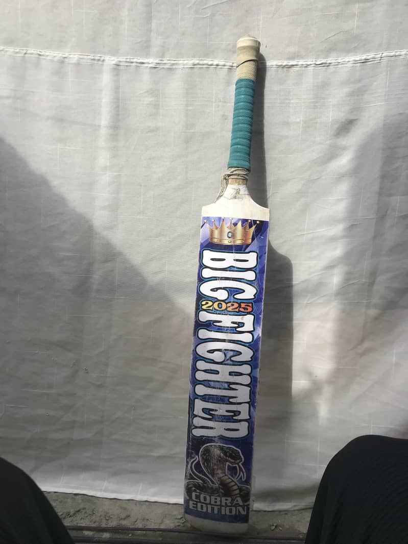 Cricket Bat 1