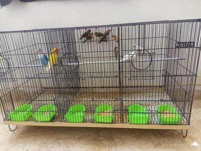 for sale