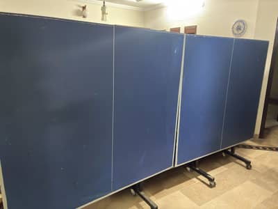 Table tennis table used