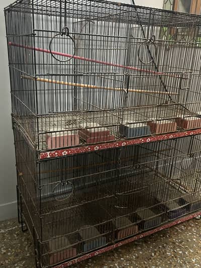 Master Cage