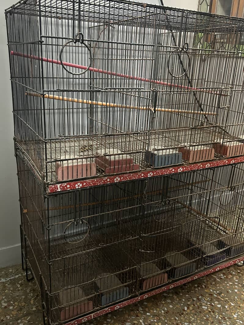 Master Cage 0