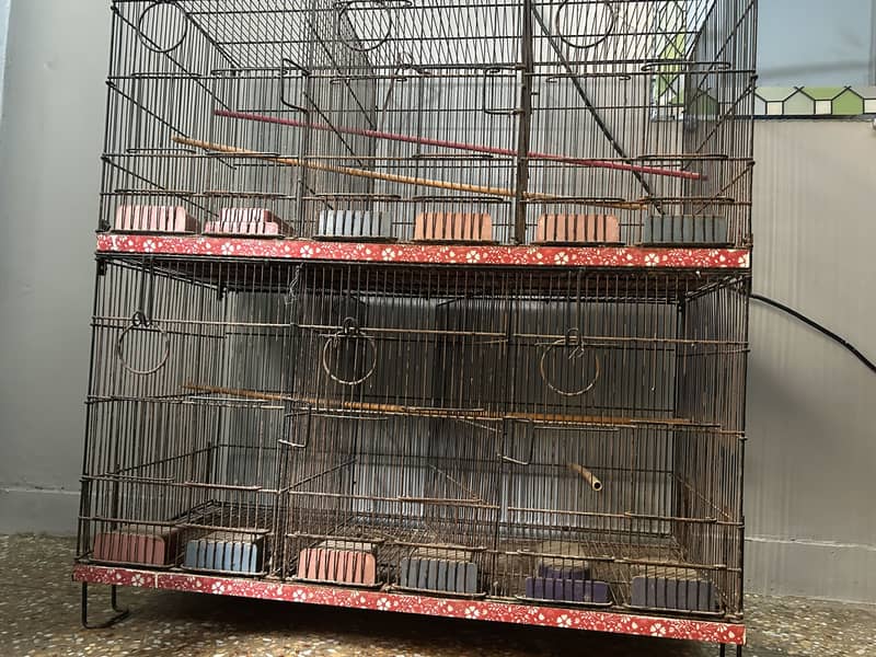 Master Cage 1
