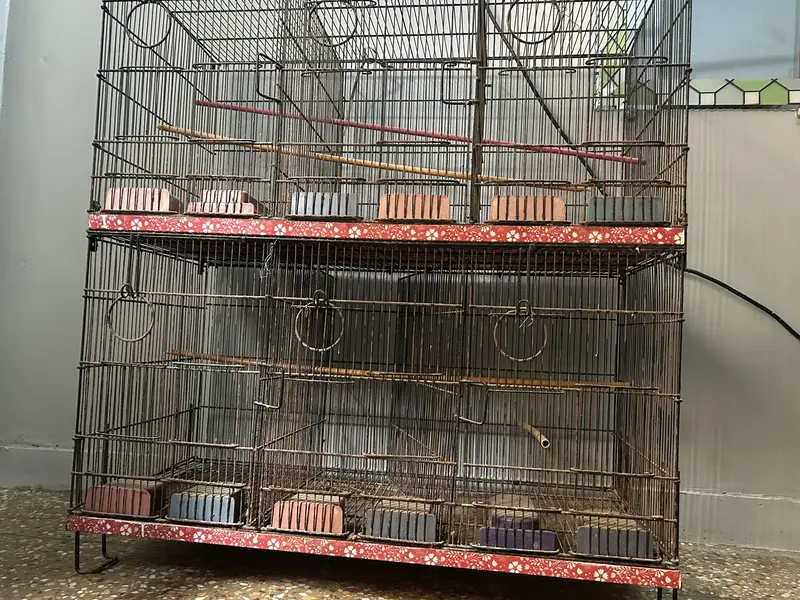 Master Cage — photo 2