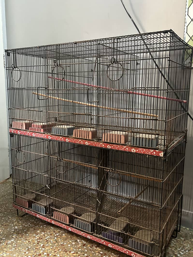 Master Cage 2