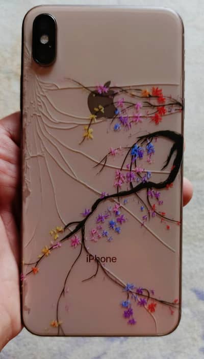 Apple iPhone XS Max PTA Approved