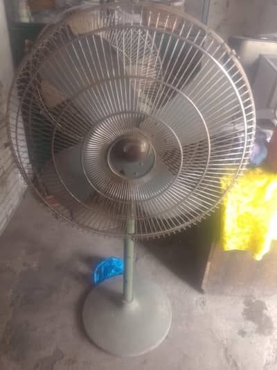 Big offer on 7 fans