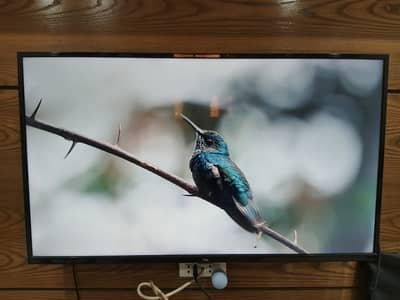 TCL L43D3000 - 43 Inch - 1920 x 1080 - HD LED TV