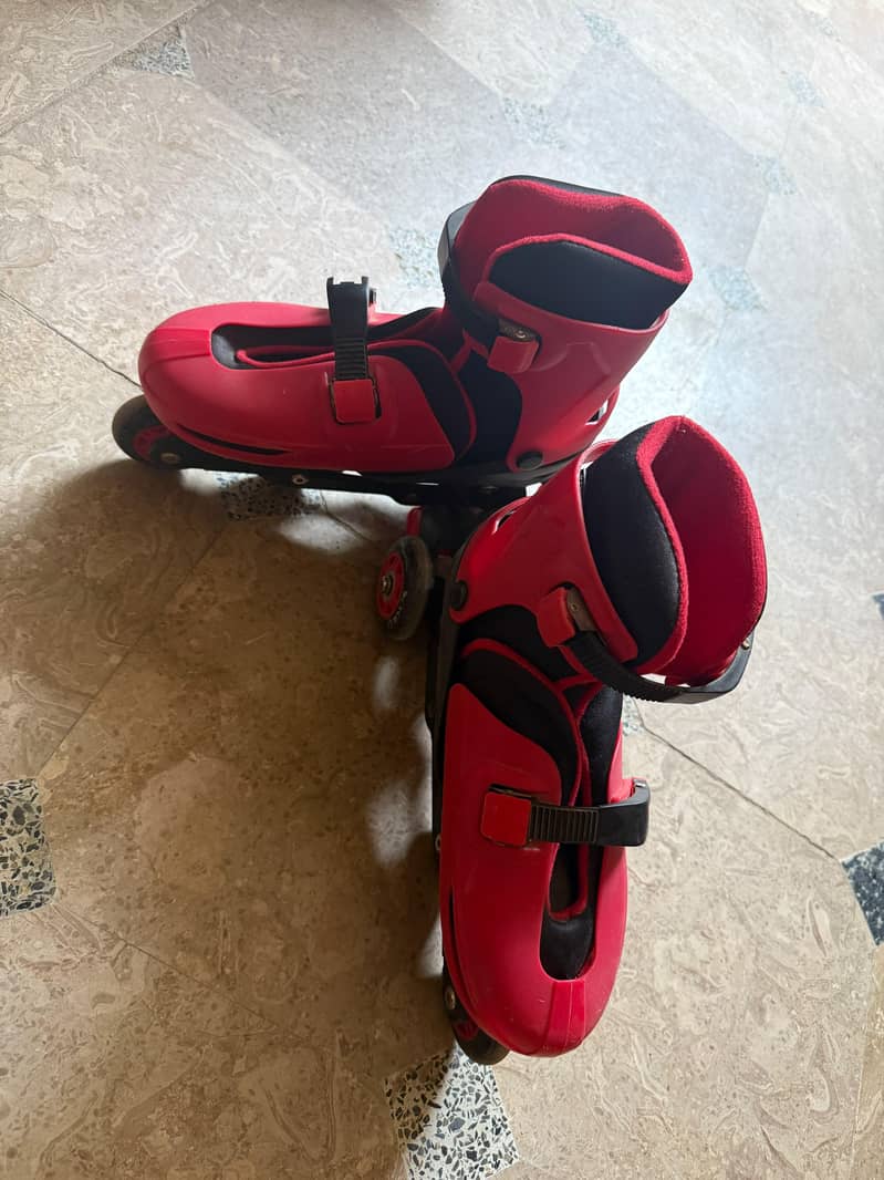 skating shoes 2