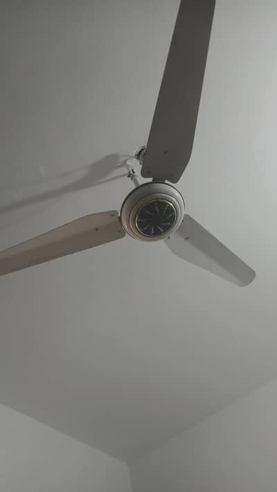 2 NO Ceiling fan