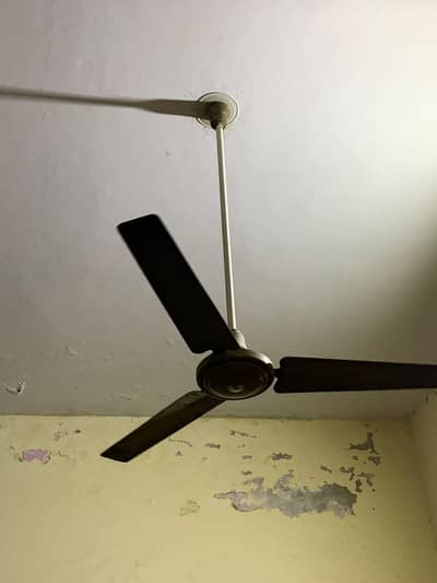 celling fan