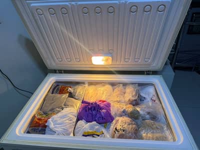 waves freezer for sale dha