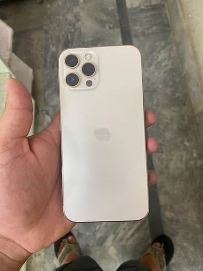 Apple iPhone 12 Pro Max