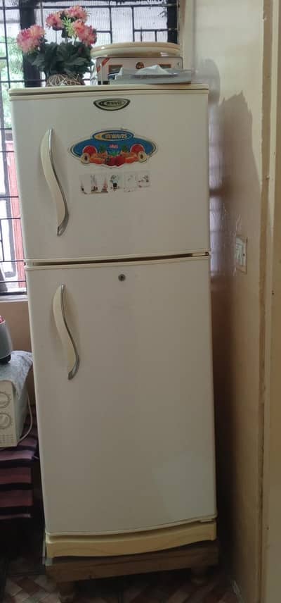 Fridge, freezer