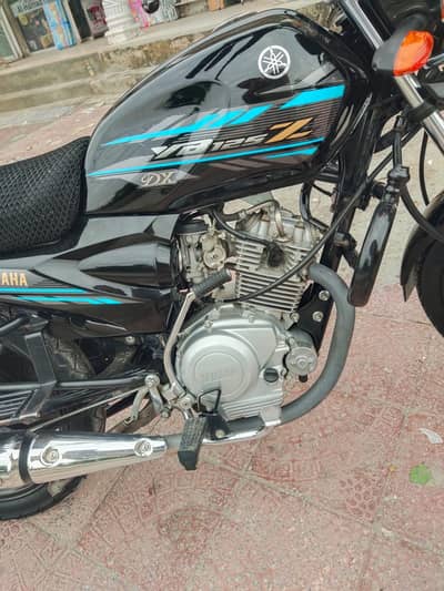 Ybz dx 2023 black color