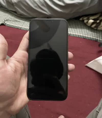 Apple iPhone 12 Pro Max factory unlock