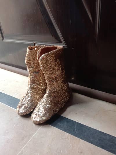 fancy pamp shoes