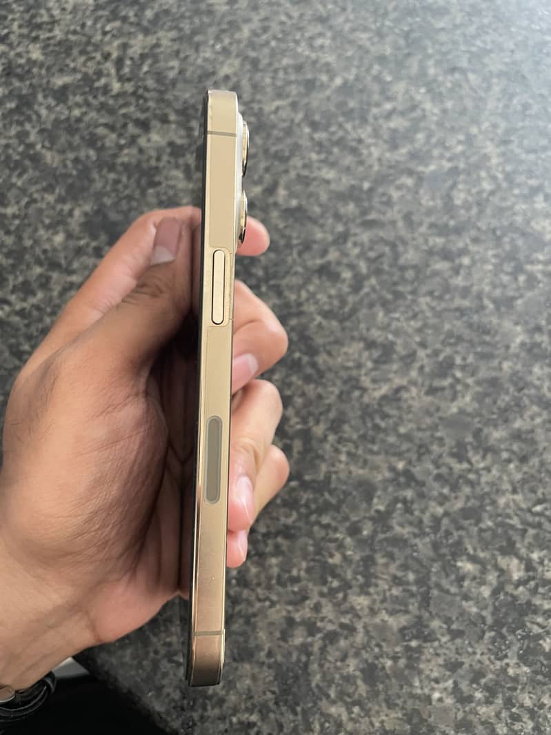 Apple iPhone 13 Pro 0