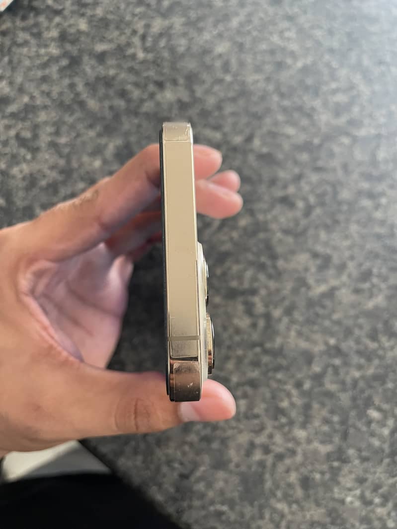 Apple iPhone 13 Pro 1