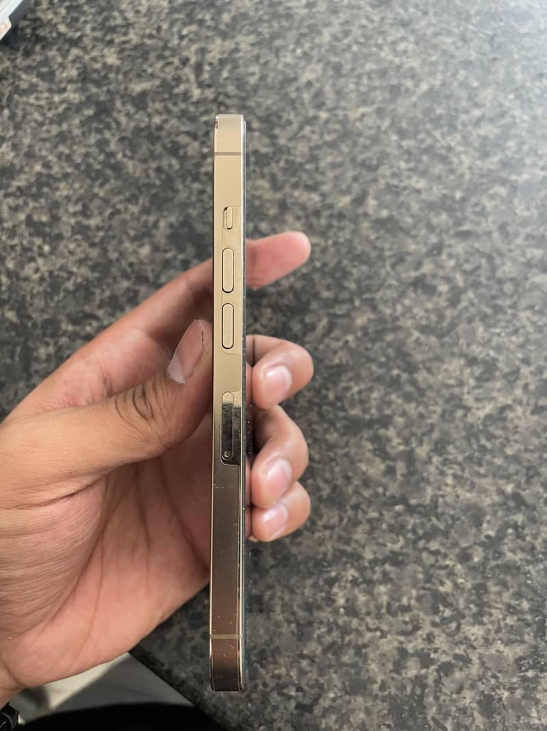 Apple iPhone 13 Pro 2