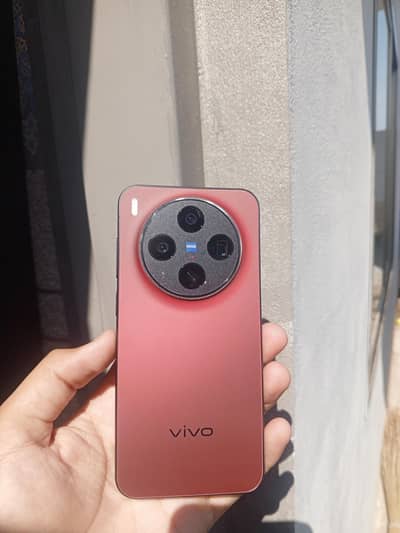 Vivo X300
