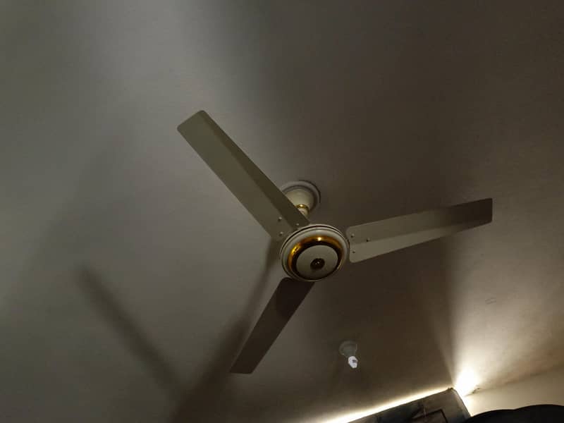 Ceiling Fans 1