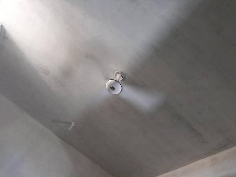 Ceiling Fans 2