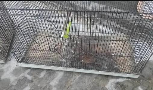 Folding Cage