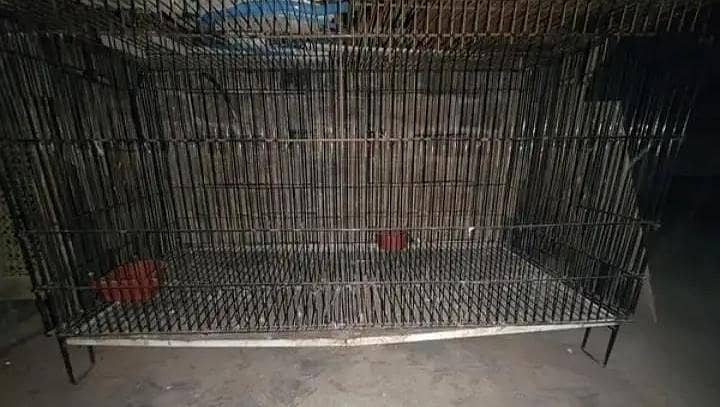 Folding Cage 1
