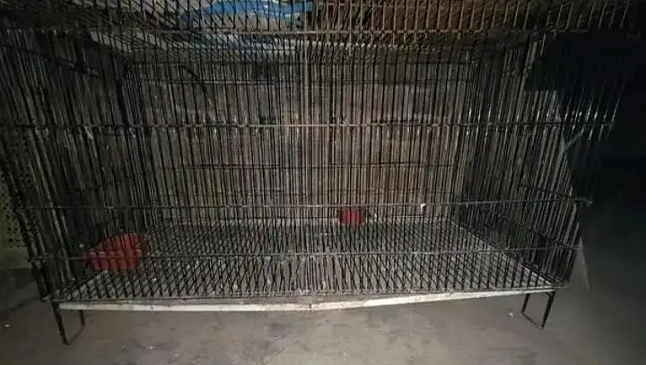 Folding Cage — photo 2