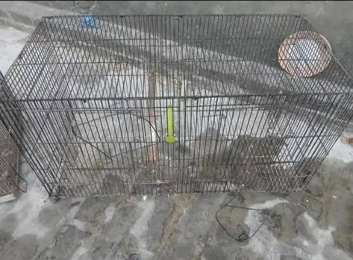 Folding Cage 2