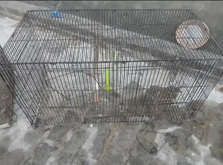 Folding Cage — photo 3