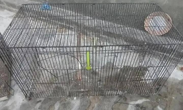 Folding Cage 4