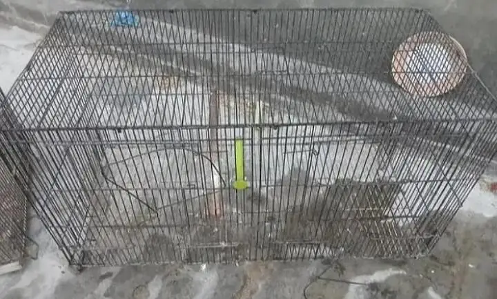 Folding Cage — photo 5