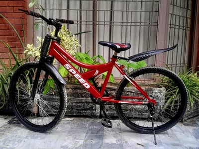 24 inches bicycle
