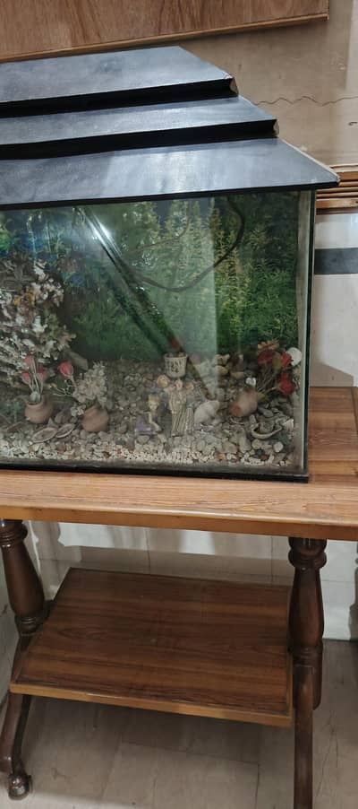fish Aquarium for sale