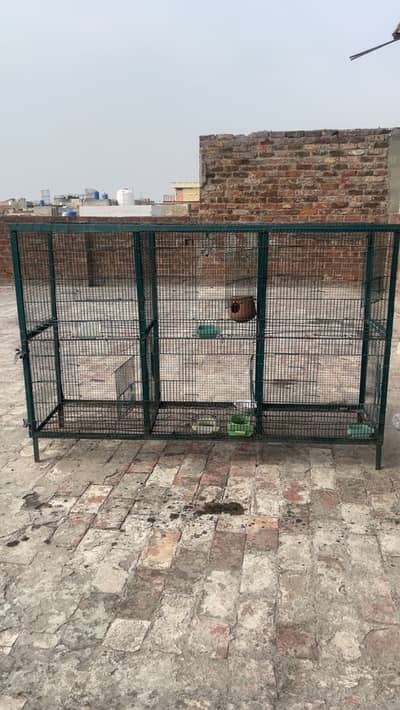 Hens And parrots cage